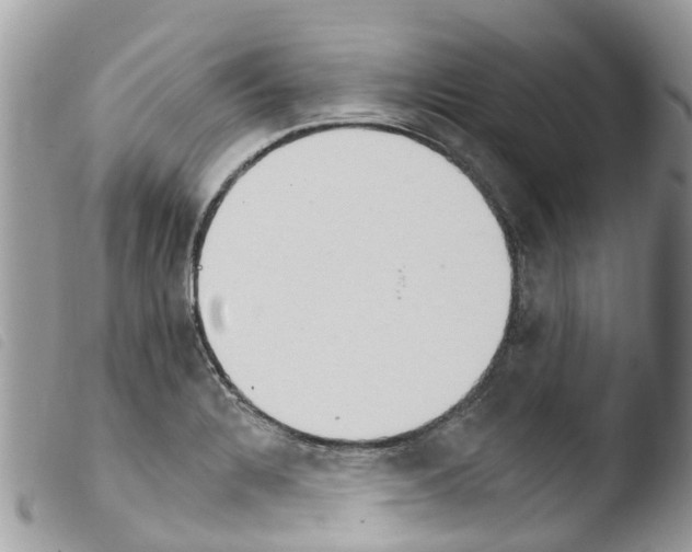 X0000103911328200810171656