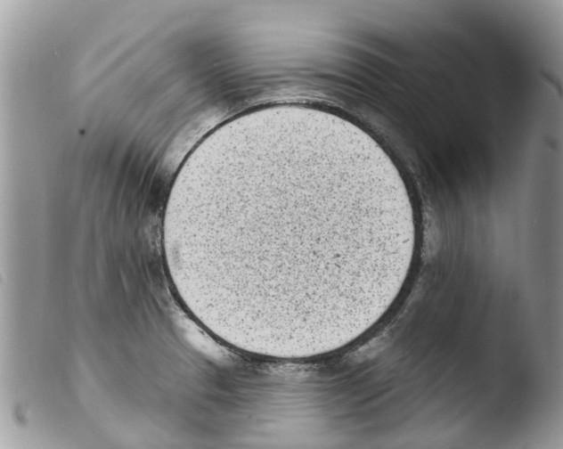 X0000103911329200810171656