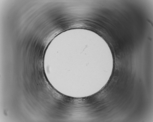 X0000103911330200810171656