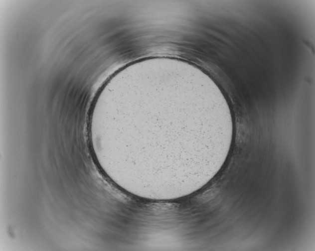 X0000103911331200810171656