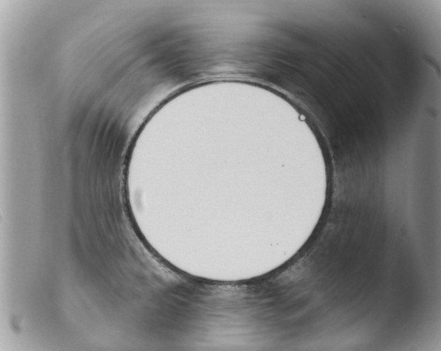 X0000103911333200810171656
