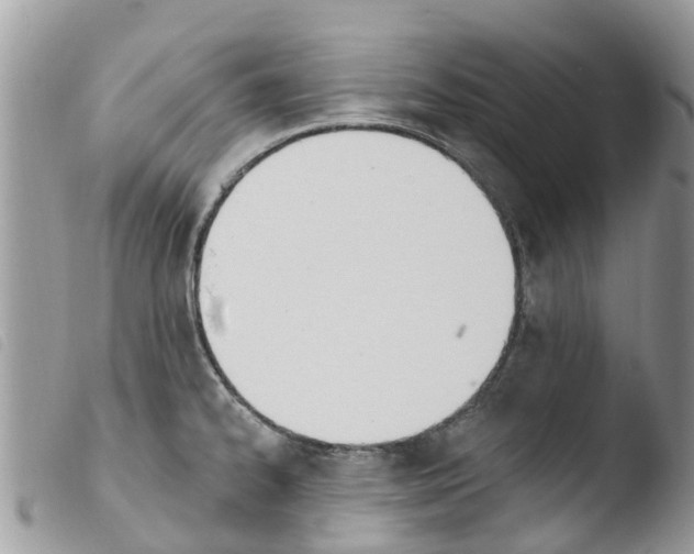 X0000103911334200810171656