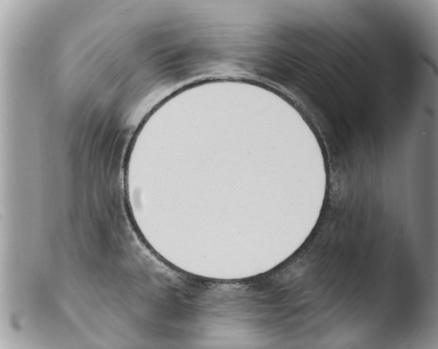 X0000103911335200810171656