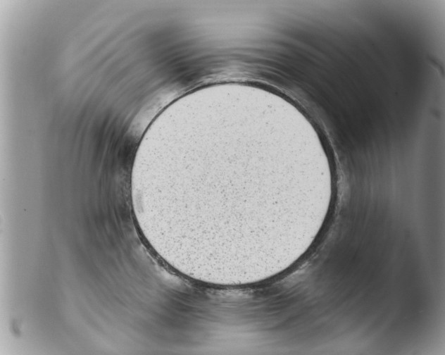 X0000103911337200810171656