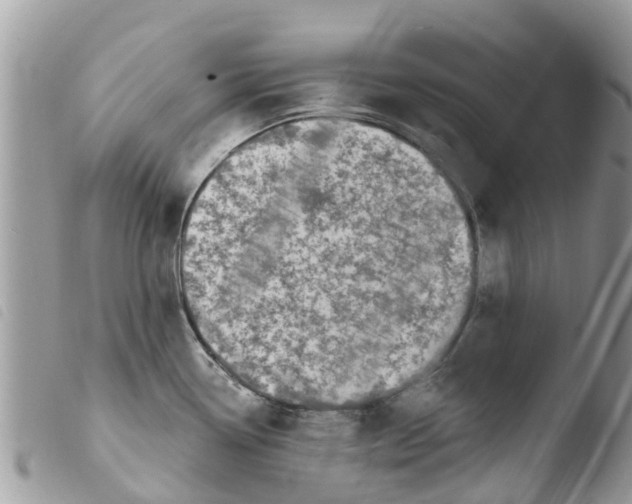 X0000103911338200810171656