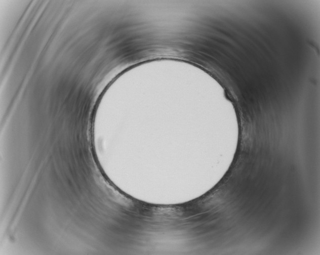 X0000103911339200810171656