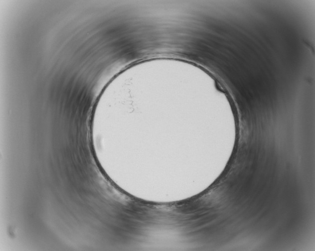 X0000103911341200810171656