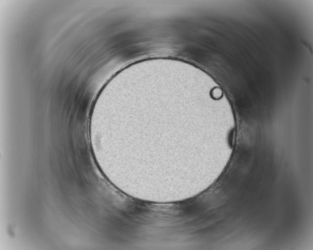 X0000103911342200810171656