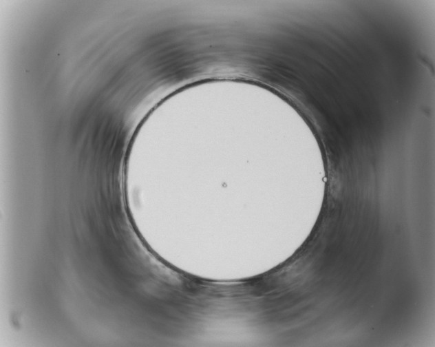 X0000103911343200810171656