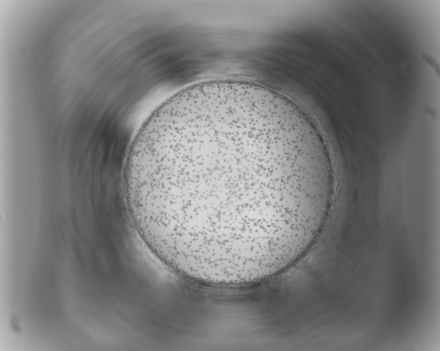 X0000103911344200810171656