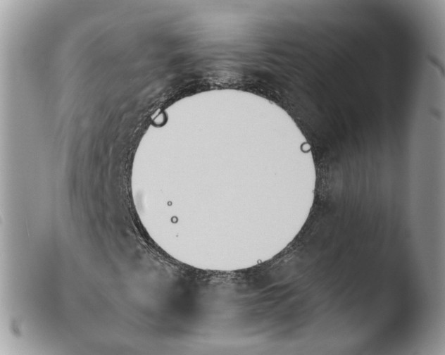 X0000103911345200810171655