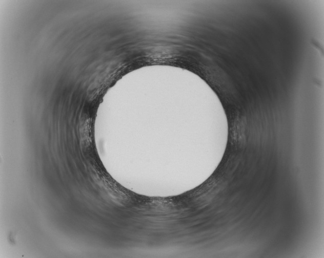 X0000103911346200810171655