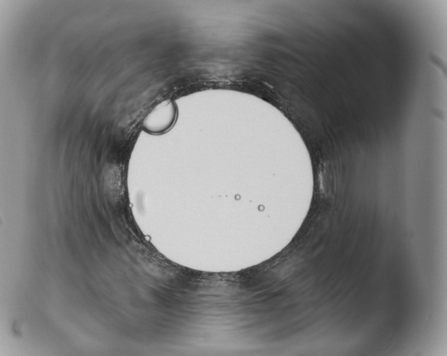 X0000103911347200810171655