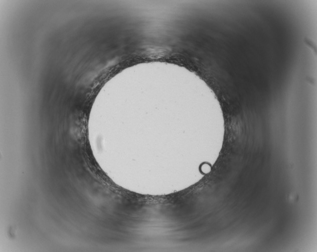 X0000103911349200810171655