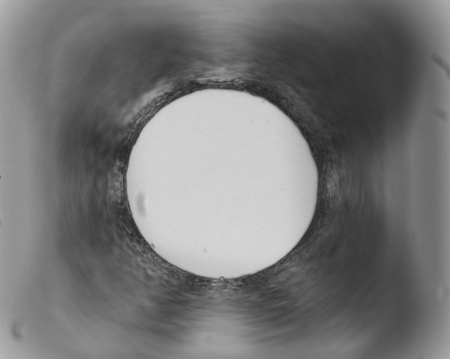 X0000103911350200810171655