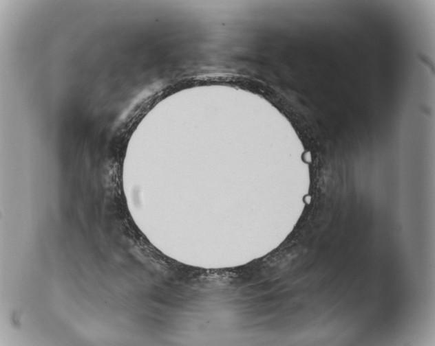 X0000103911351200810171655