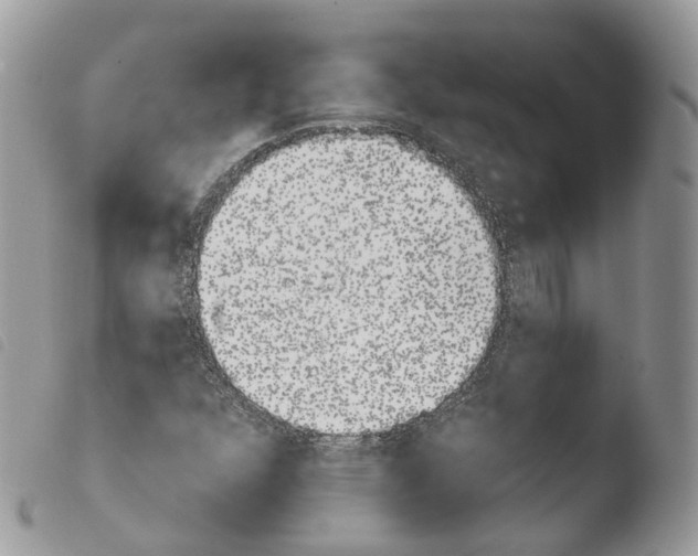 X0000103911352200810171655