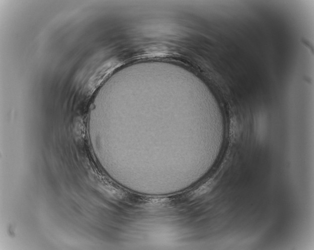 X0000103911353200810171655