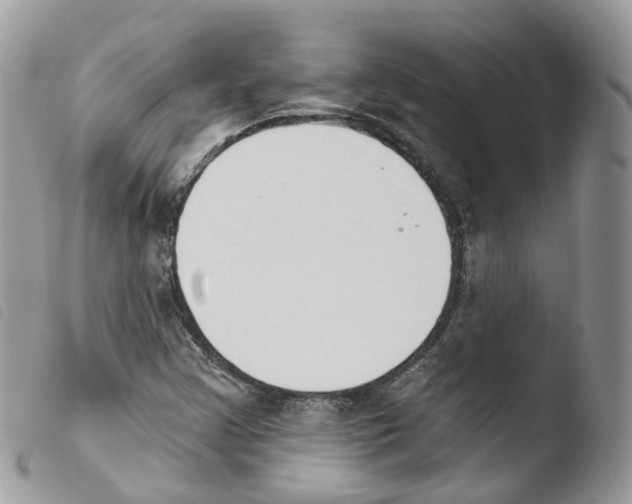 X0000103911355200810171655