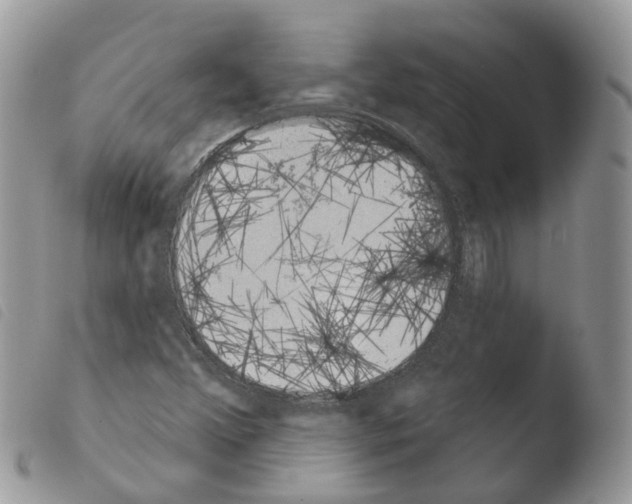 X0000103911356200810171655