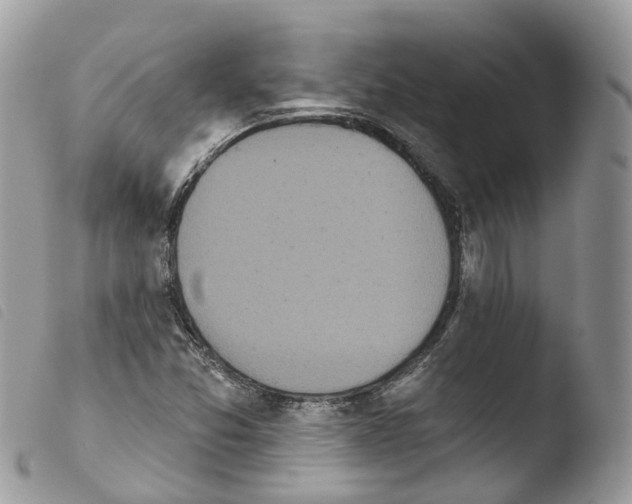 X0000103911357200810171655