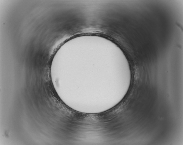 X0000103911358200810171655