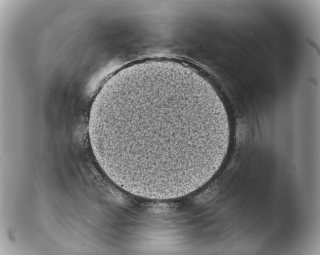 X0000103911359200810171655