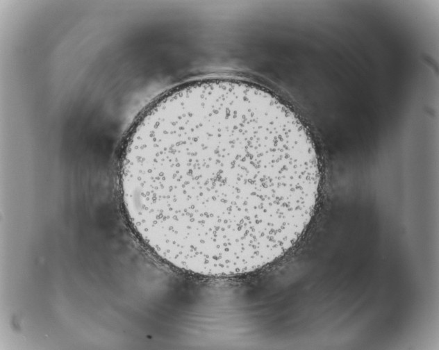 X0000103911360200810171655