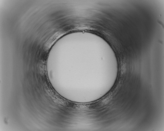X0000103911361200810171655