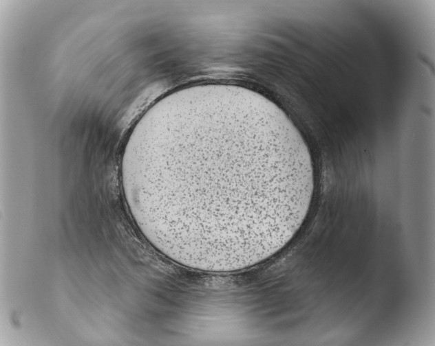 X0000103911362200810171655