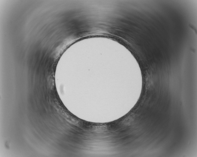 X0000103911363200810171655
