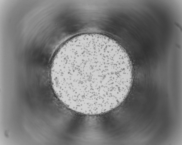 X0000103911364200810171655