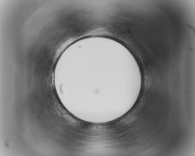 X0000103911366200810171655