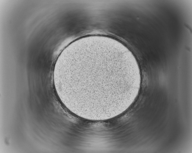 X0000103911367200810171655