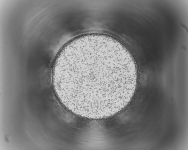 X0000103911368200810171655
