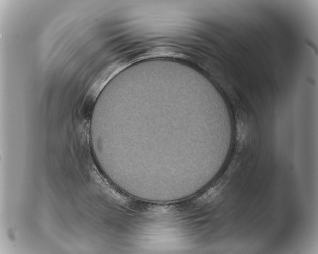 X0000103911369200810171655