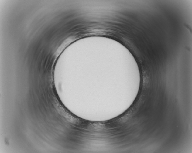 X0000103911370200810171655