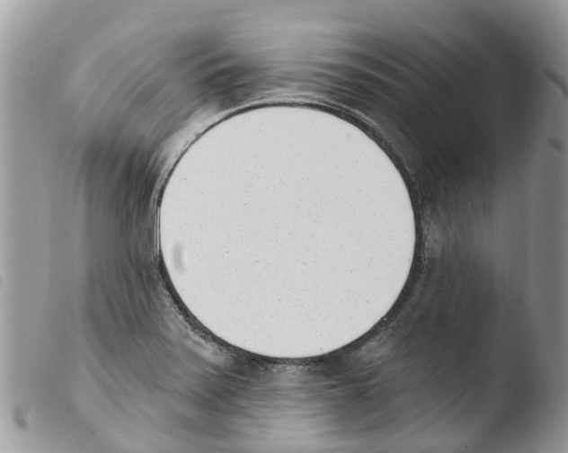 X0000103911371200810171655