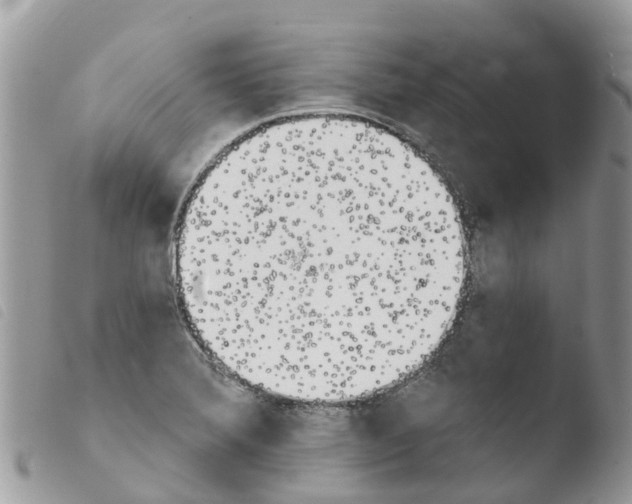 X0000103911372200810171655