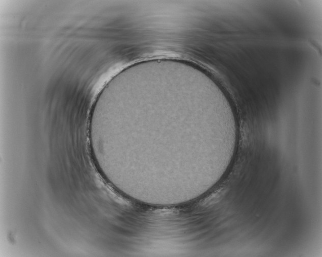X0000103911373200810171655