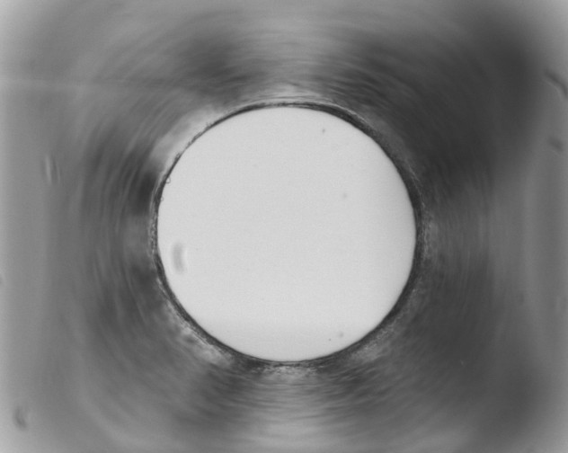 X0000103911374200810171655