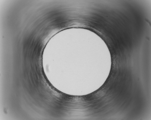 X0000103911375200810171655