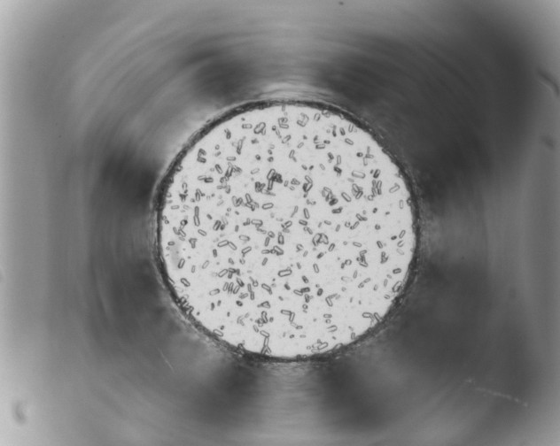 X0000103911376200810171655