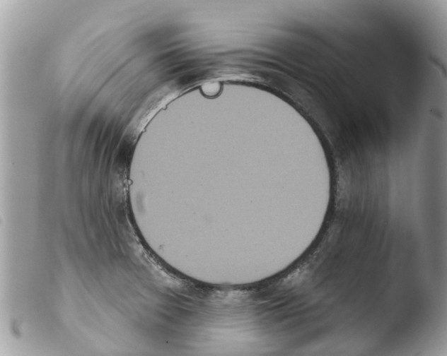 X0000103911377200810171655