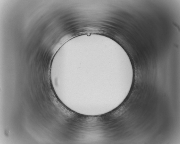 X0000103911378200810171655