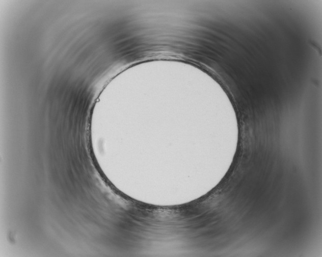 X0000103911379200810171655