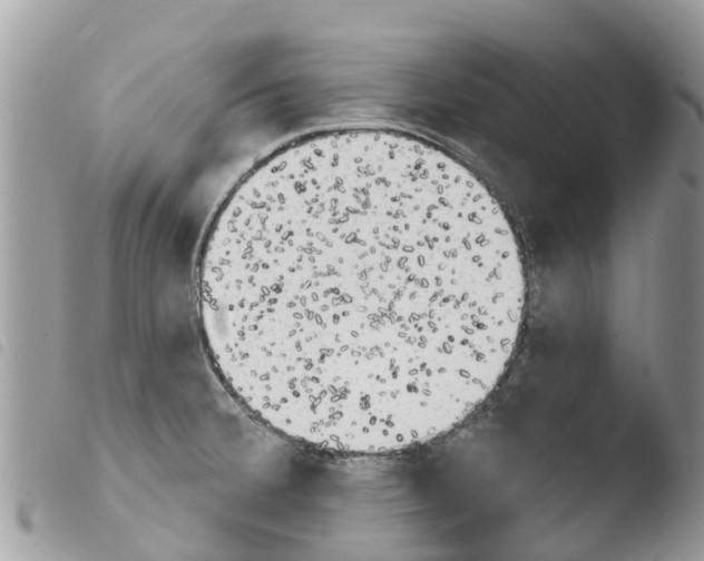 X0000103911380200810171655