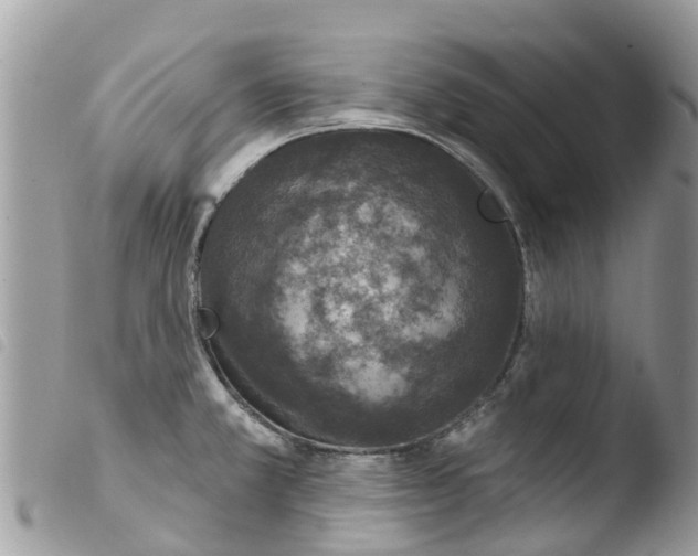 X0000103911381200810171655
