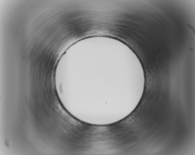 X0000103911382200810171655