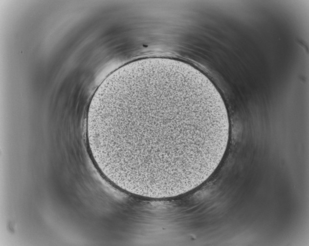 X0000103911383200810171655